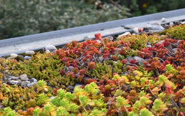 the cost of Chickward green roof installation