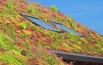 Chickward living roof systems